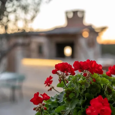 אוהל מפואר Kamp Marta מרינה