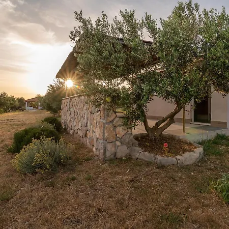 Lüks kamp alanı Kamp Marta Marina