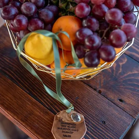 Kamp Marta Lüks kamp alanı 3*