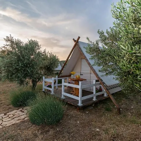 Kamp Marta Lüks kamp alanı 3*