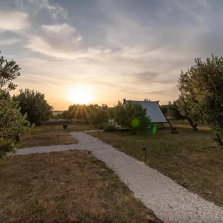 Kamp Marta Lüks kamp alanı Marina